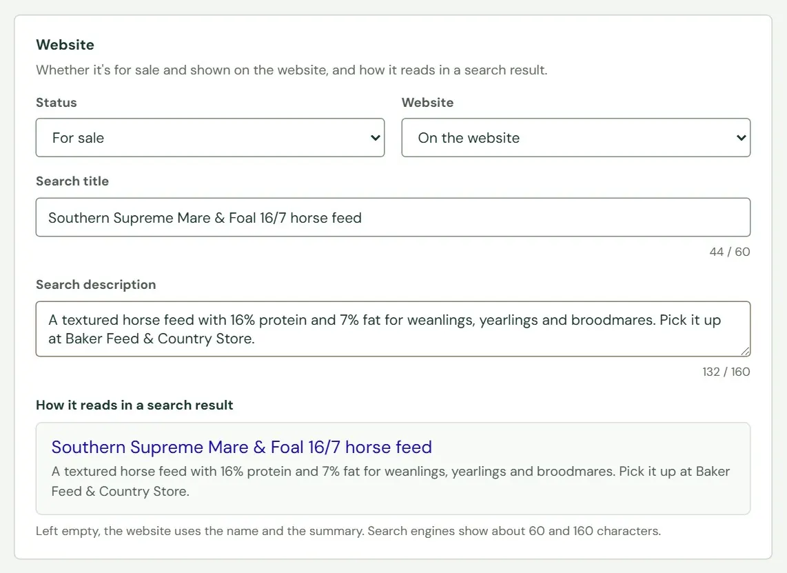 The Website section, with a search title and description typed in.