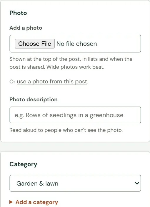 The Photo and Category cards.