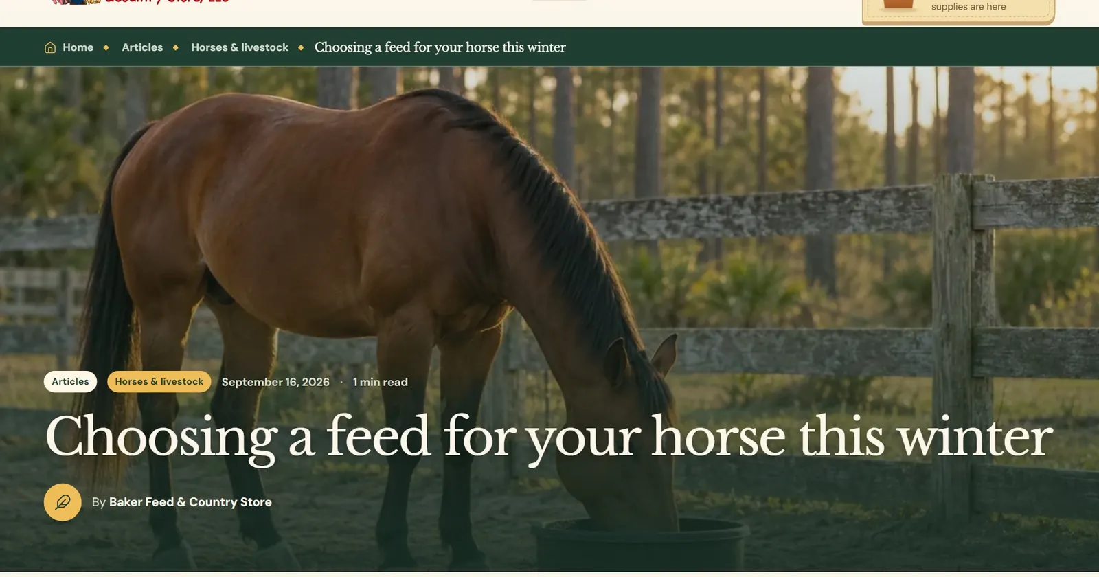An article on the sample store's website.
