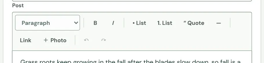 The toolbar above the Post box.