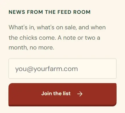 The email box in the footer of the sample store's website.